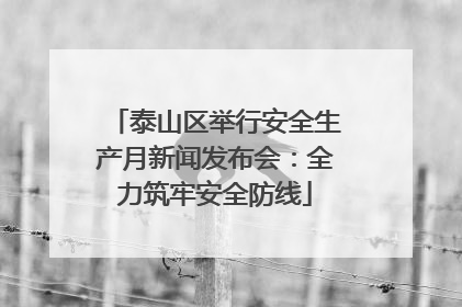 泰山区举行安全生产月新闻发布会：全力筑牢安全防线