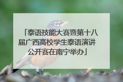 泰语技能大赛暨第十八届广西高校学生泰语演讲公开赛在南宁举办