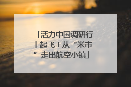活力中国调研行丨起飞！从“米市”走出航空小镇