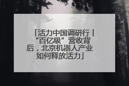 活力中国调研行丨 “百亿级”营收背后，北京机器人产业如何释放活力