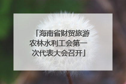 海南省财贸旅游农林水利工会第一次代表大会召开