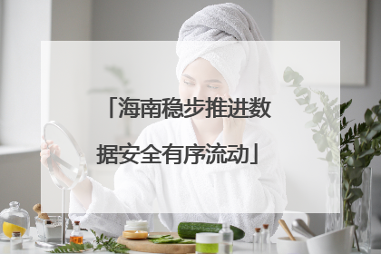 海南稳步推进数据安全有序流动