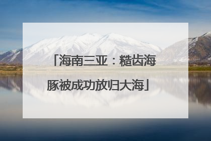 海南三亚：糙齿海豚被成功放归大海