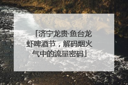 济宁龙贵·鱼台龙虾啤酒节，解码烟火气中的流量密码
