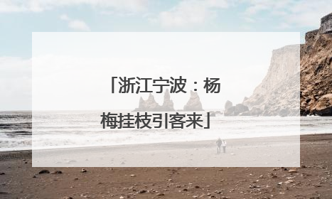 浙江宁波：杨梅挂枝引客来
