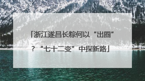 浙江遂昌长粽何以“出圈”？“七十二变”中探新路