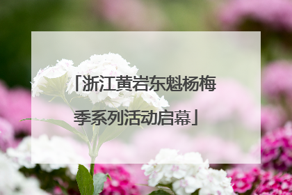 浙江黄岩东魁杨梅季系列活动启幕