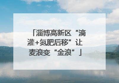 淄博高新区“滴灌+氮肥后移”让麦浪变“金浪”