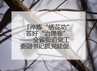 淬炼“绣花功” 答好“治理卷”——全省街道党工委副书记抓党建促基层治理培训示范班侧记