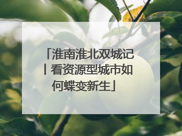淮南淮北双城记丨看资源型城市如何蝶变新生