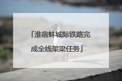 淮宿蚌城际铁路完成全线架梁任务