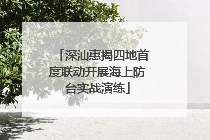 深汕惠揭四地首度联动开展海上防台实战演练