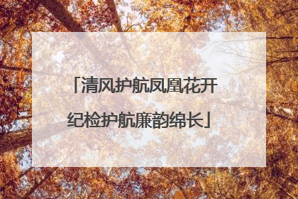 清风护航凤凰花开 纪检护航廉韵绵长