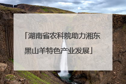 湖南省农科院助力湘东黑山羊特色产业发展