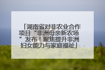 湖南省对非农业合作项目“非洲母亲新农场”发布！聚焦提升非洲妇女能力与家庭福祉