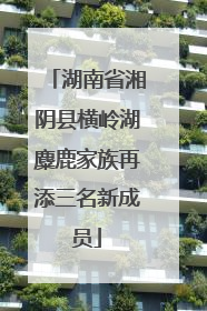 湖南省湘阴县横岭湖麋鹿家族再添三名新成员