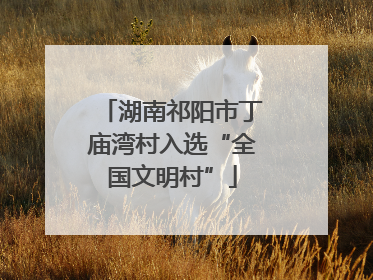 湖南祁阳市丁庙湾村入选“全国文明村”