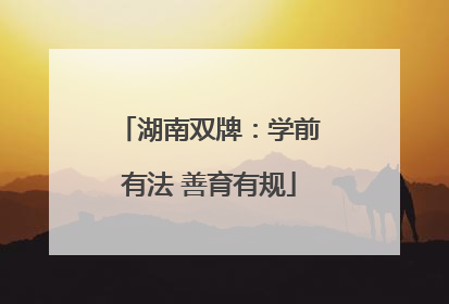 湖南双牌：学前有法 善育有规