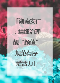 湖南安仁：精细治理靓“颜值” 规范有序增活力