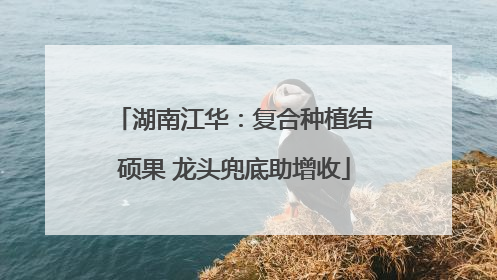 湖南江华：复合种植结硕果 龙头兜底助增收