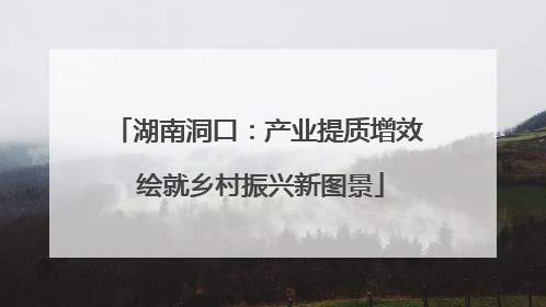 湖南洞口：产业提质增效 绘就乡村振兴新图景