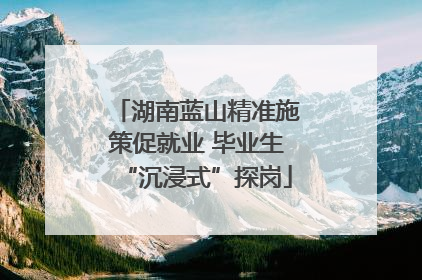 湖南蓝山精准施策促就业 毕业生“沉浸式”探岗
