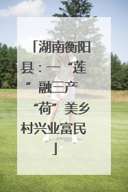 湖南衡阳县：一“莲”融三产 “荷”美乡村兴业富民
