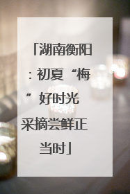 湖南衡阳：初夏“梅”好时光 采摘尝鲜正当时