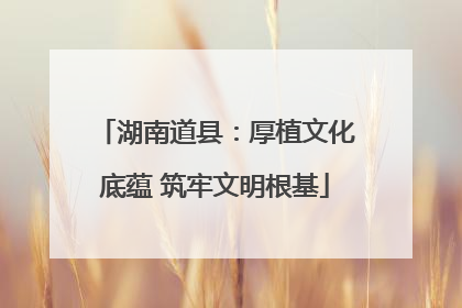 湖南道县：厚植文化底蕴 筑牢文明根基