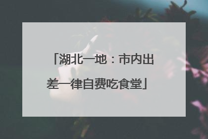 湖北一地：市内出差一律自费吃食堂