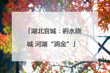 湖北宜城：碧水绕城 河湖“淌金”