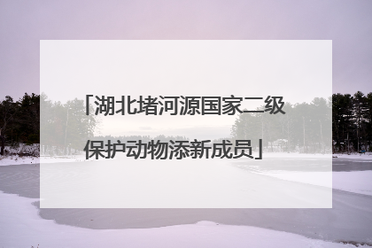 湖北堵河源国家二级保护动物添新成员