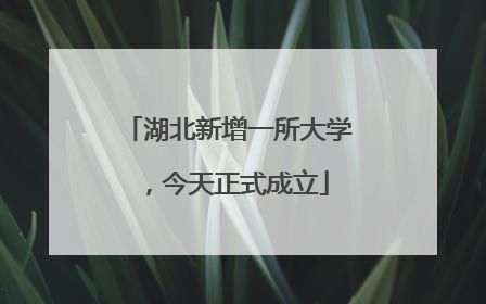 湖北新增一所大学，今天正式成立