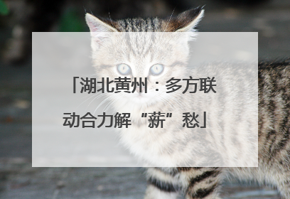 湖北黄州：多方联动合力解“薪”愁