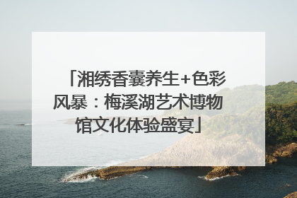 湘绣香囊养生+色彩风暴：梅溪湖艺术博物馆文化体验盛宴