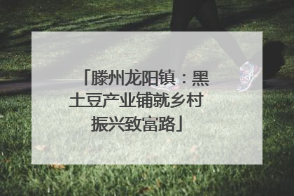 滕州龙阳镇：黑土豆产业铺就乡村振兴致富路