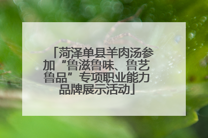 菏泽单县羊肉汤参加“鲁滋鲁味、鲁艺鲁品”专项职业能力品牌展示活动