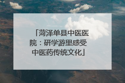 菏泽单县中医医院：研学游里感受中医药传统文化