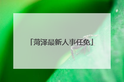 菏泽最新人事任免