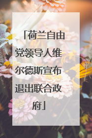 荷兰自由党领导人维尔德斯宣布退出联合政府