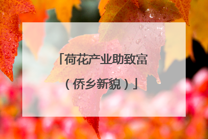 荷花产业助致富（侨乡新貌）