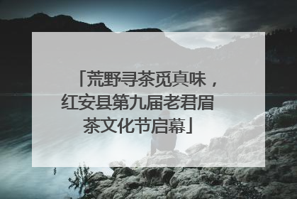 荒野寻茶觅真味，红安县第九届老君眉茶文化节启幕