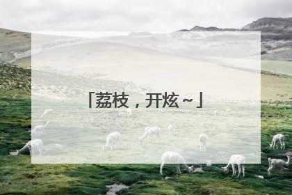 荔枝，开炫～