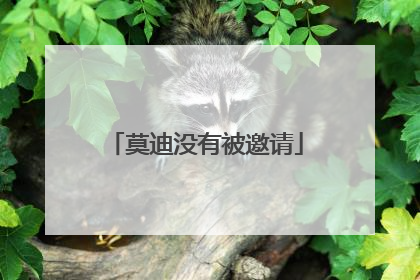 莫迪没有被邀请