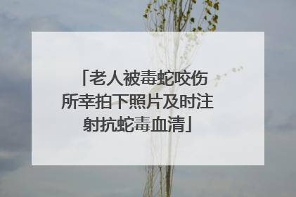 老人被毒蛇咬伤 所幸拍下照片及时注射抗蛇毒血清