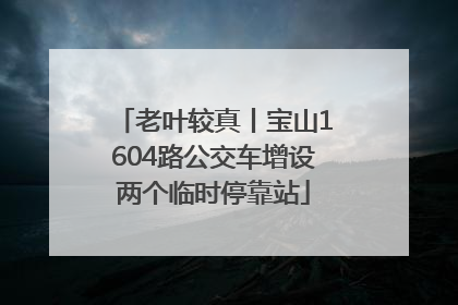 老叶较真丨宝山1604路公交车增设两个临时停靠站