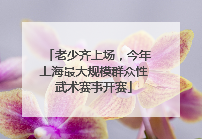 老少齐上场，今年上海最大规模群众性武术赛事开赛