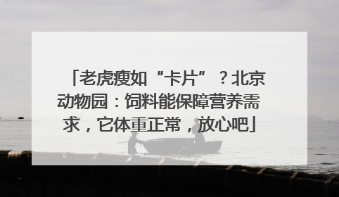 老虎瘦如“卡片”？北京动物园：饲料能保障营养需求，它体重正常，放心吧