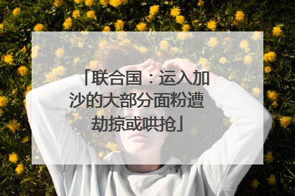联合国：运入加沙的大部分面粉遭劫掠或哄抢