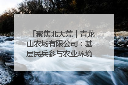 聚焦北大荒｜青龙山农场有限公司：基层民兵参与农业环境综合治理显效